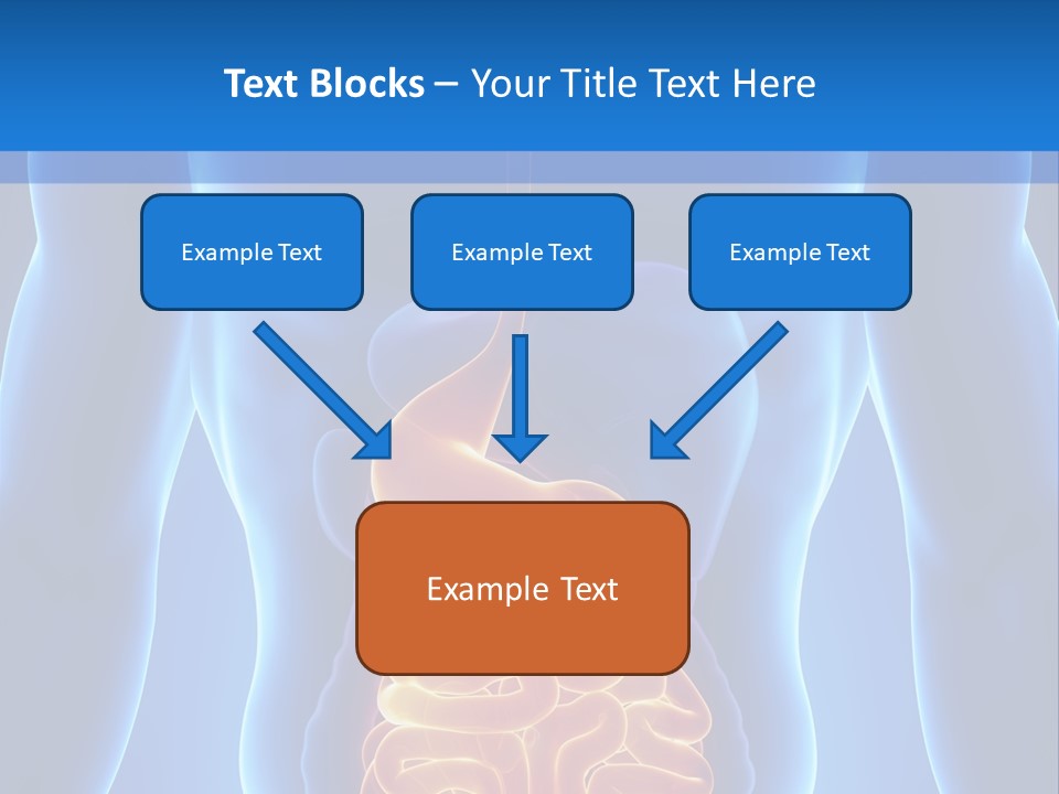 Ileocecal Valve Diagnose Abdominal PowerPoint Template