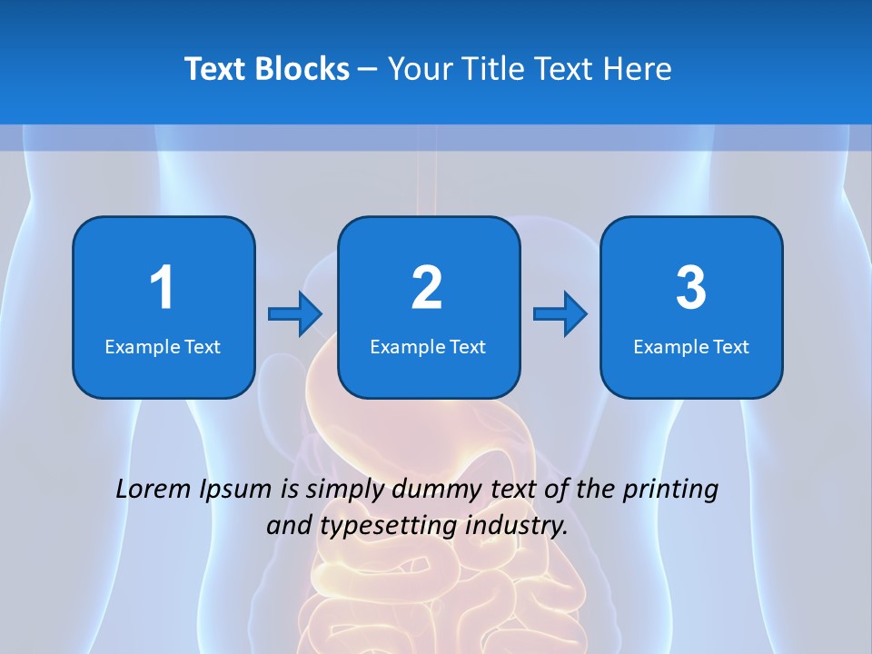 Ileocecal Valve Diagnose Abdominal PowerPoint Template