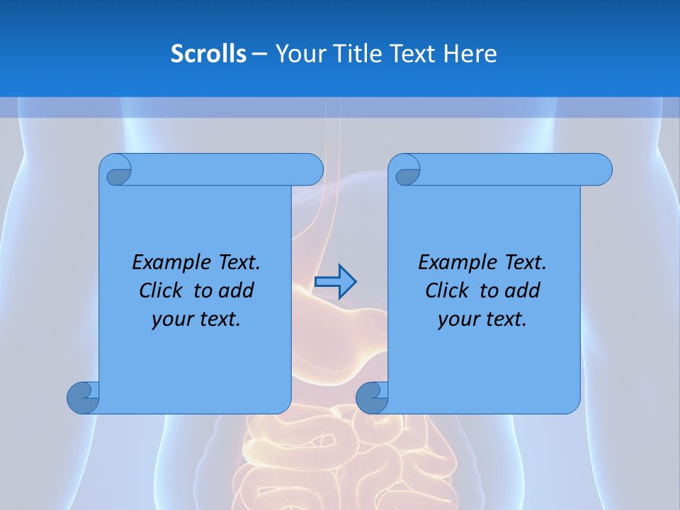 Ileocecal Valve Diagnose Abdominal PowerPoint Template
