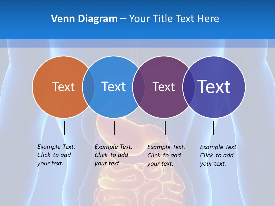 Ileocecal Valve Diagnose Abdominal PowerPoint Template