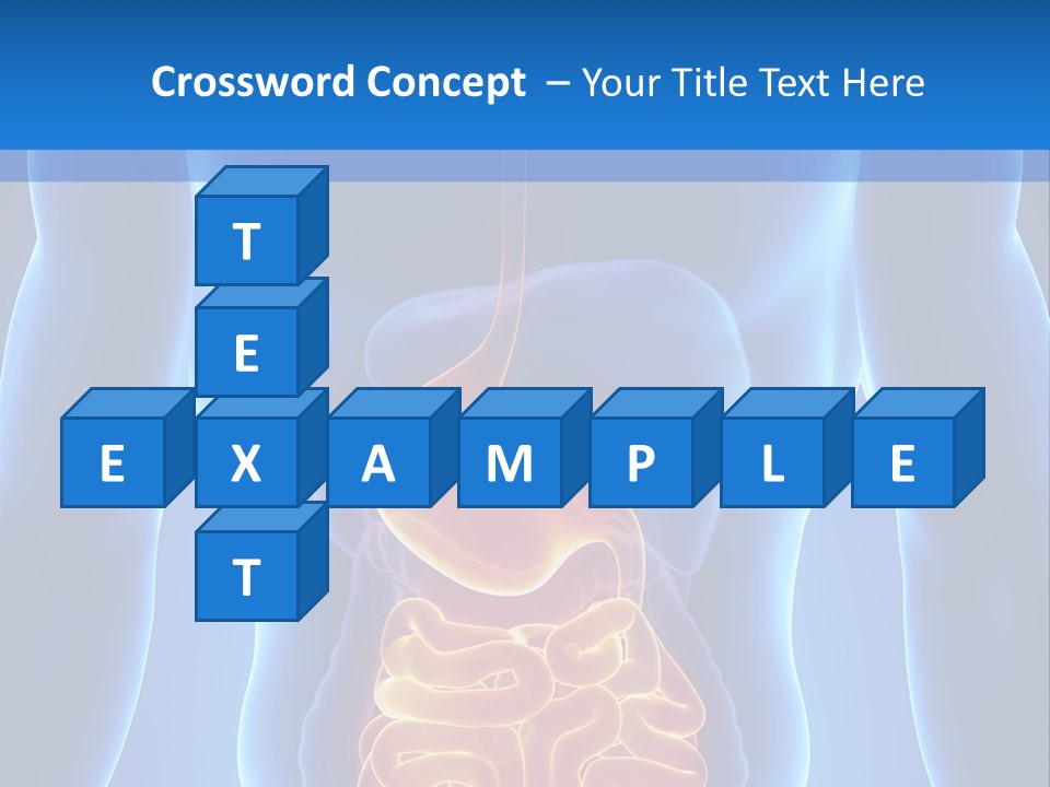 Ileocecal Valve Diagnose Abdominal PowerPoint Template