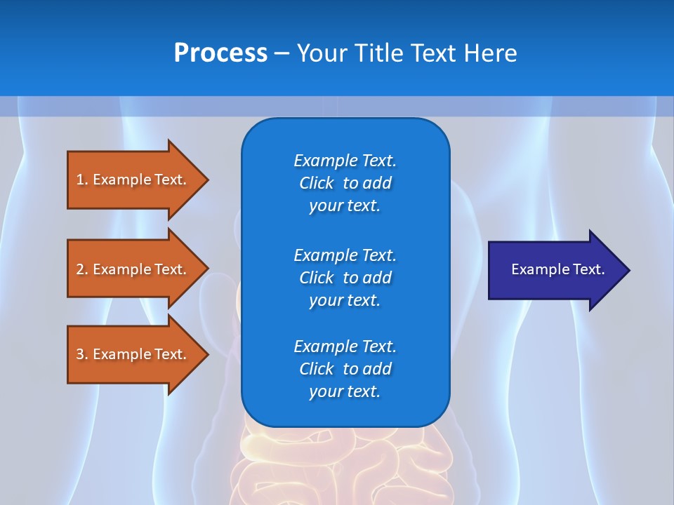 Ileocecal Valve Diagnose Abdominal PowerPoint Template