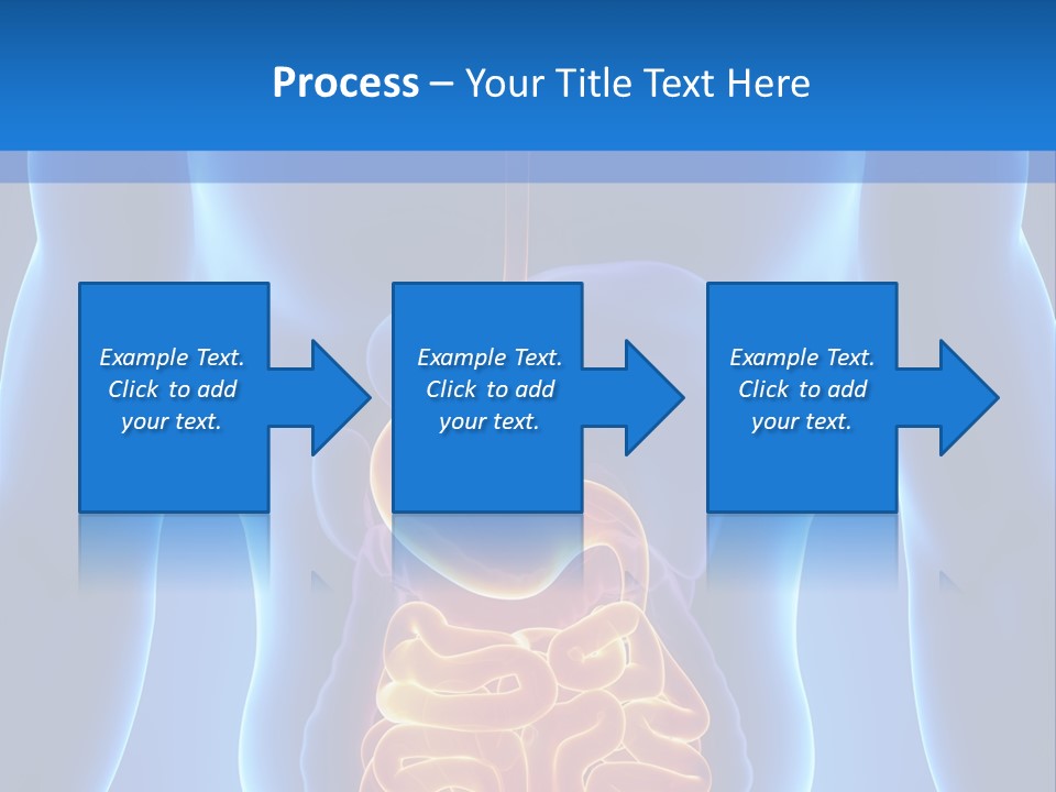 Ileocecal Valve Diagnose Abdominal PowerPoint Template