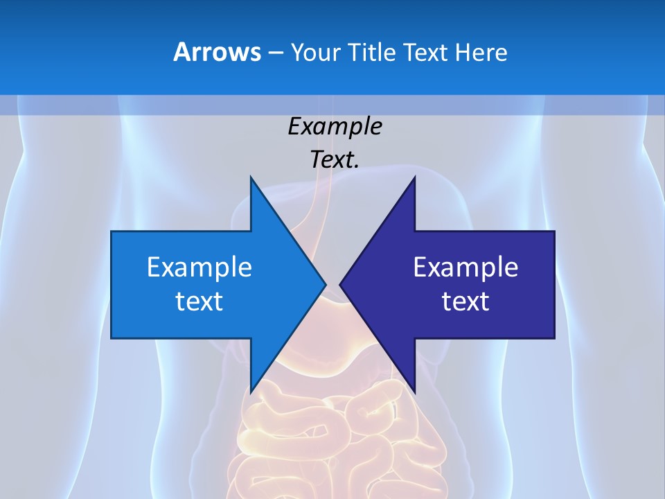 Ileocecal Valve Diagnose Abdominal PowerPoint Template