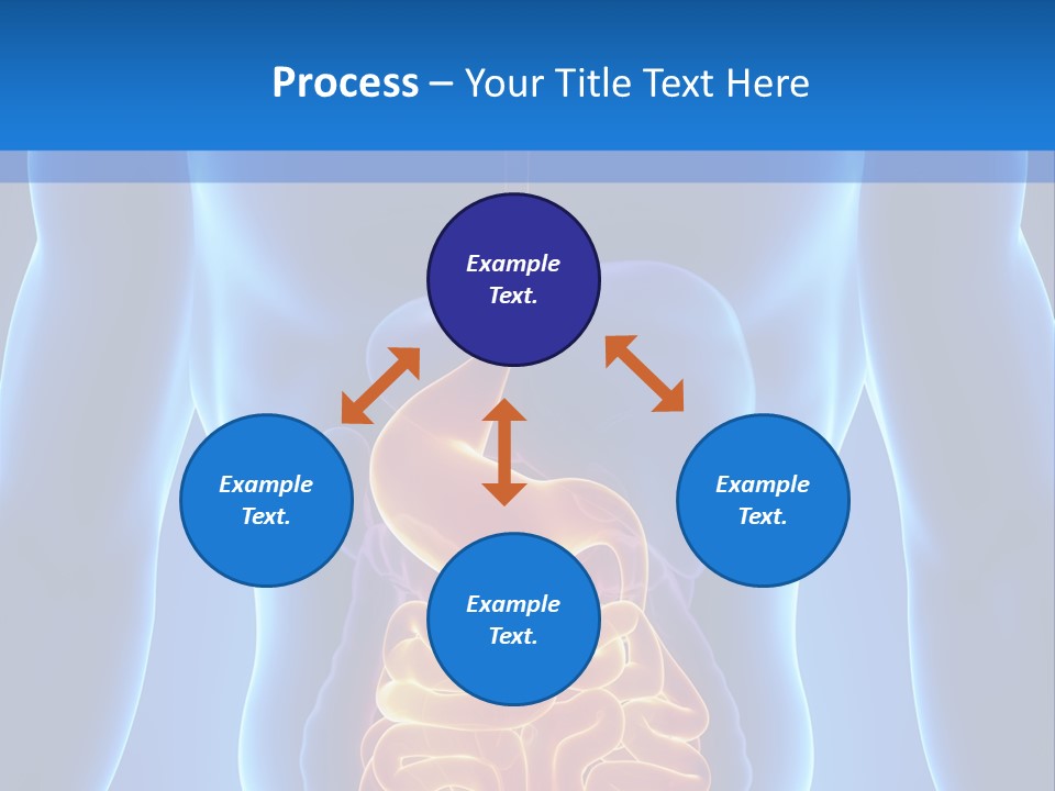 Ileocecal Valve Diagnose Abdominal PowerPoint Template