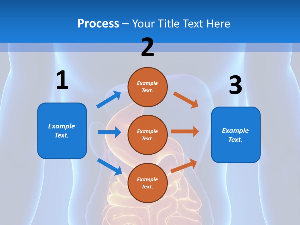 Ileocecal Valve Diagnose Abdominal PowerPoint Template