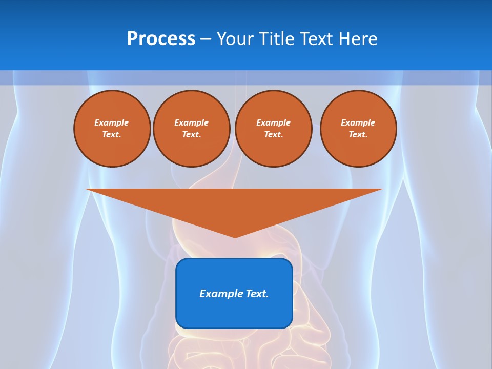 Ileocecal Valve Diagnose Abdominal PowerPoint Template