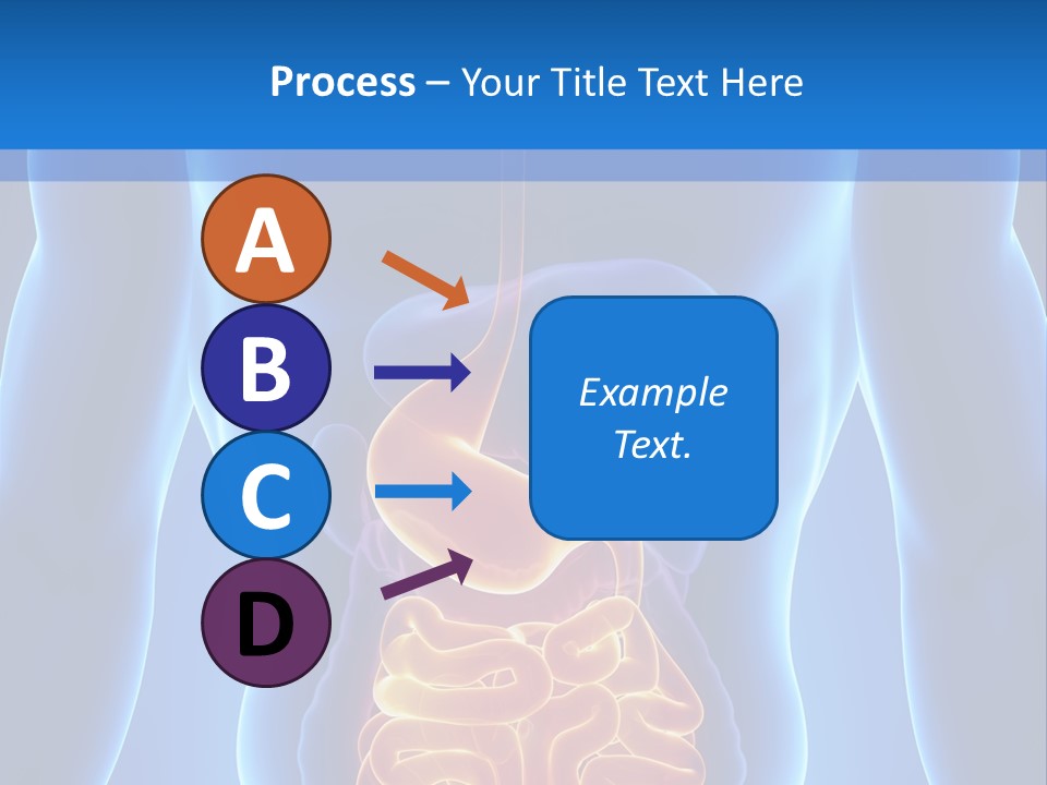 Ileocecal Valve Diagnose Abdominal PowerPoint Template