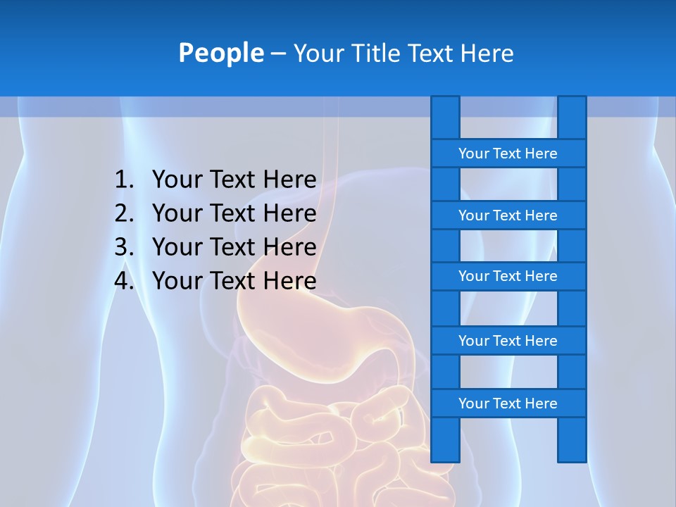 Ileocecal Valve Diagnose Abdominal PowerPoint Template