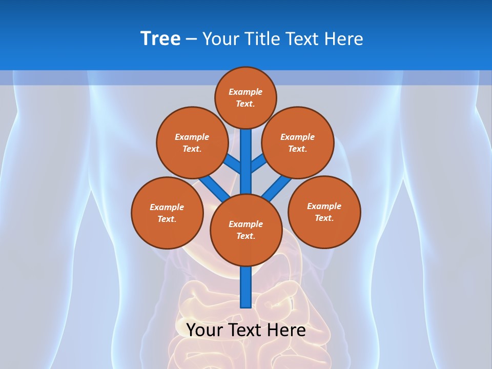 Ileocecal Valve Diagnose Abdominal PowerPoint Template