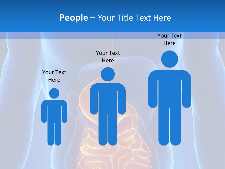 Ileocecal Valve Diagnose Abdominal PowerPoint Template