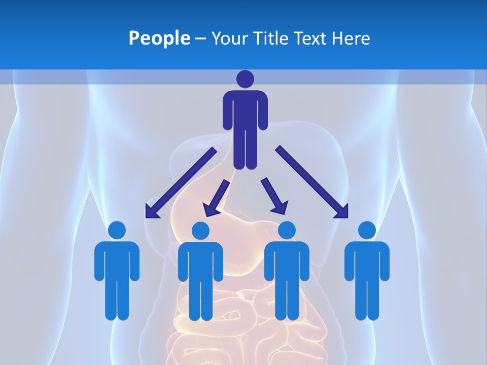 Ileocecal Valve Diagnose Abdominal PowerPoint Template