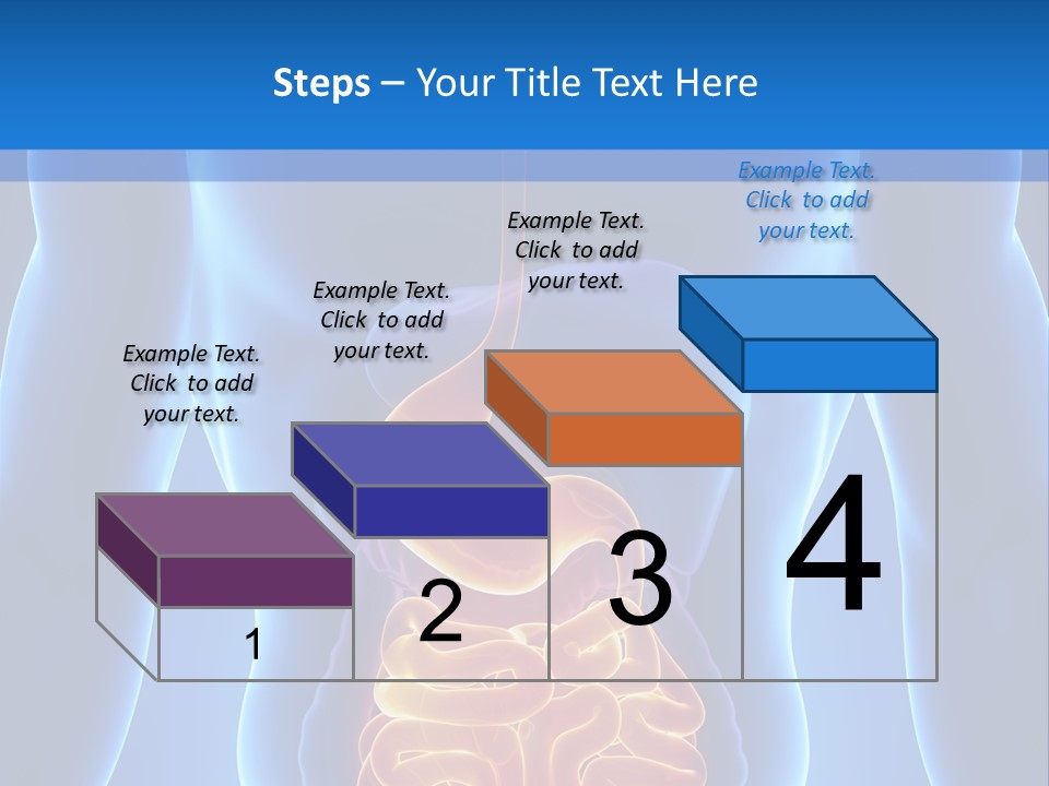 Ileocecal Valve Diagnose Abdominal PowerPoint Template