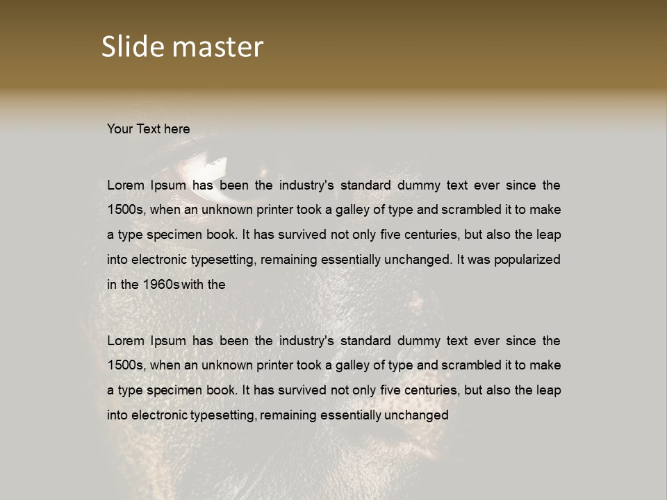 Concept Confrontation Conflict PowerPoint Template