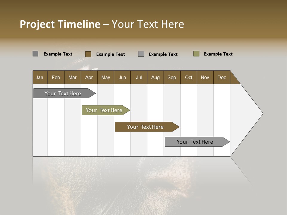 Concept Confrontation Conflict PowerPoint Template
