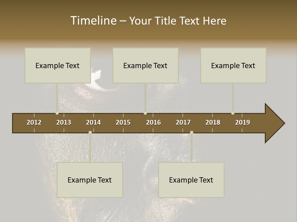 Concept Confrontation Conflict PowerPoint Template