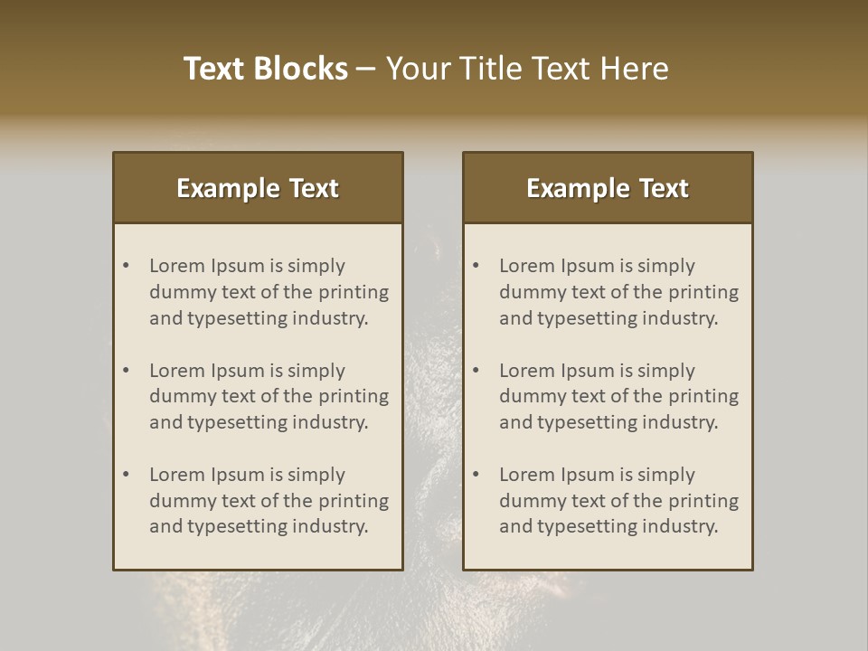 Concept Confrontation Conflict PowerPoint Template