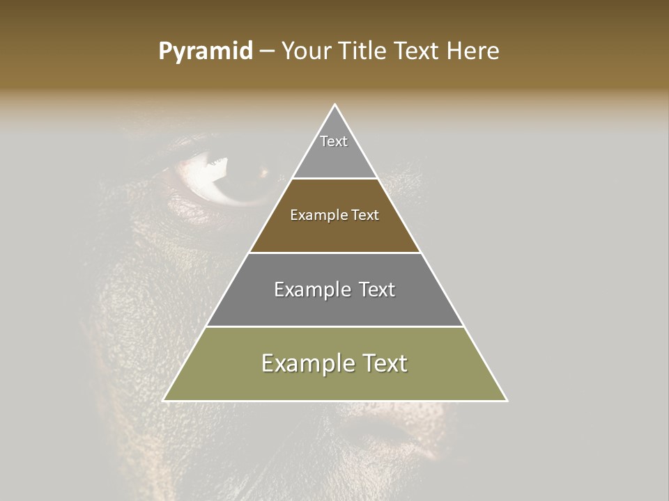 Concept Confrontation Conflict PowerPoint Template