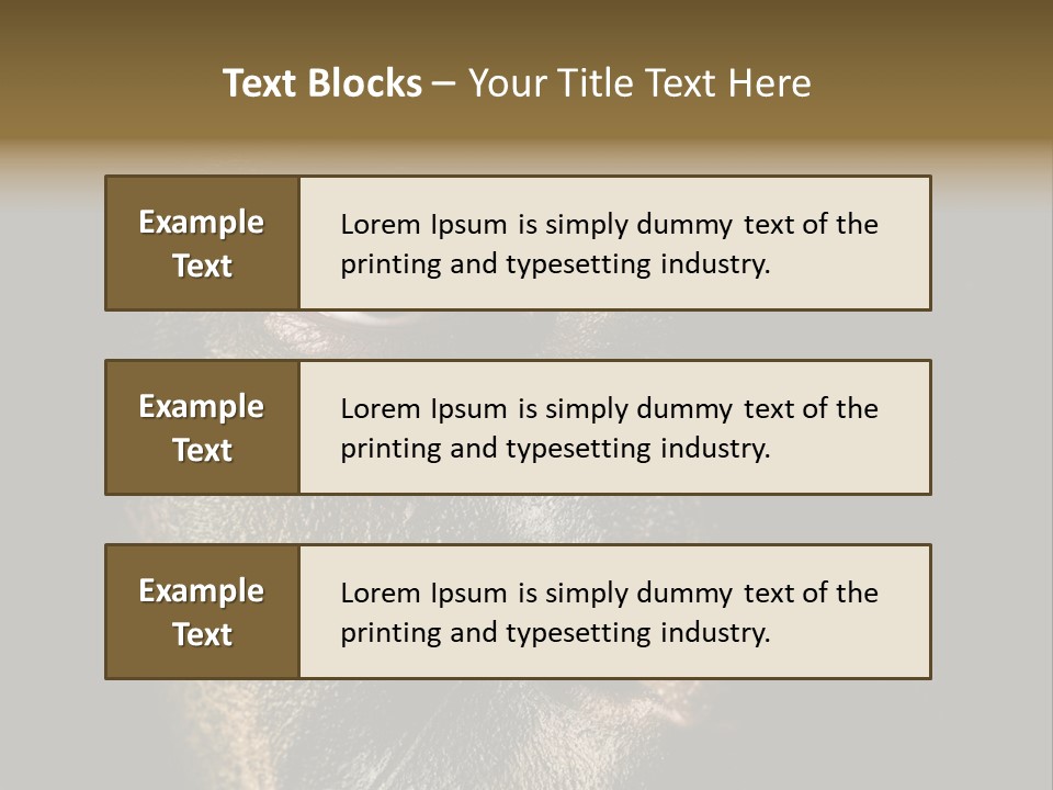Concept Confrontation Conflict PowerPoint Template