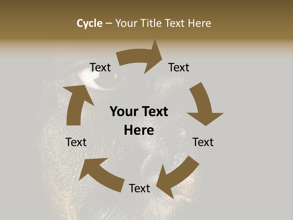 Concept Confrontation Conflict PowerPoint Template