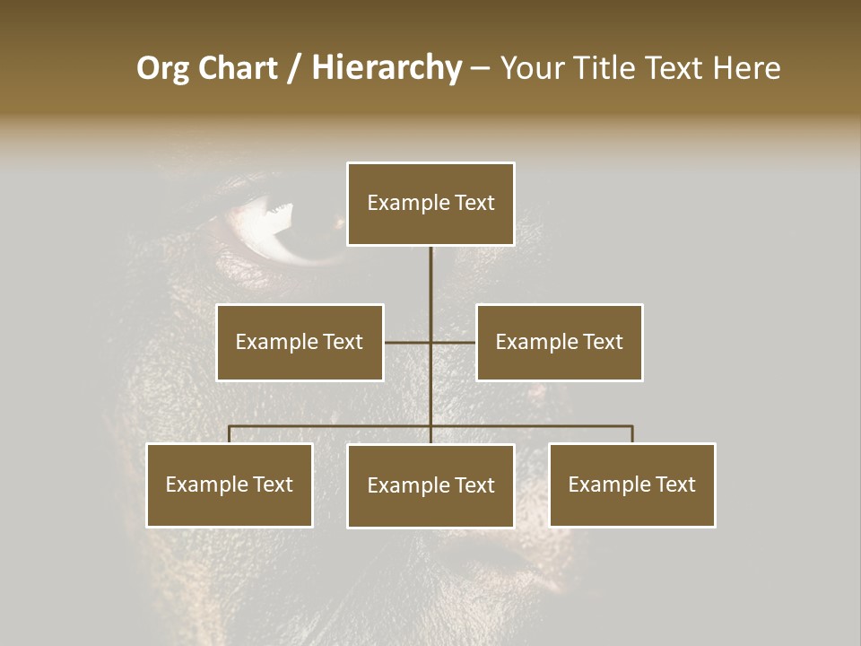 Concept Confrontation Conflict PowerPoint Template