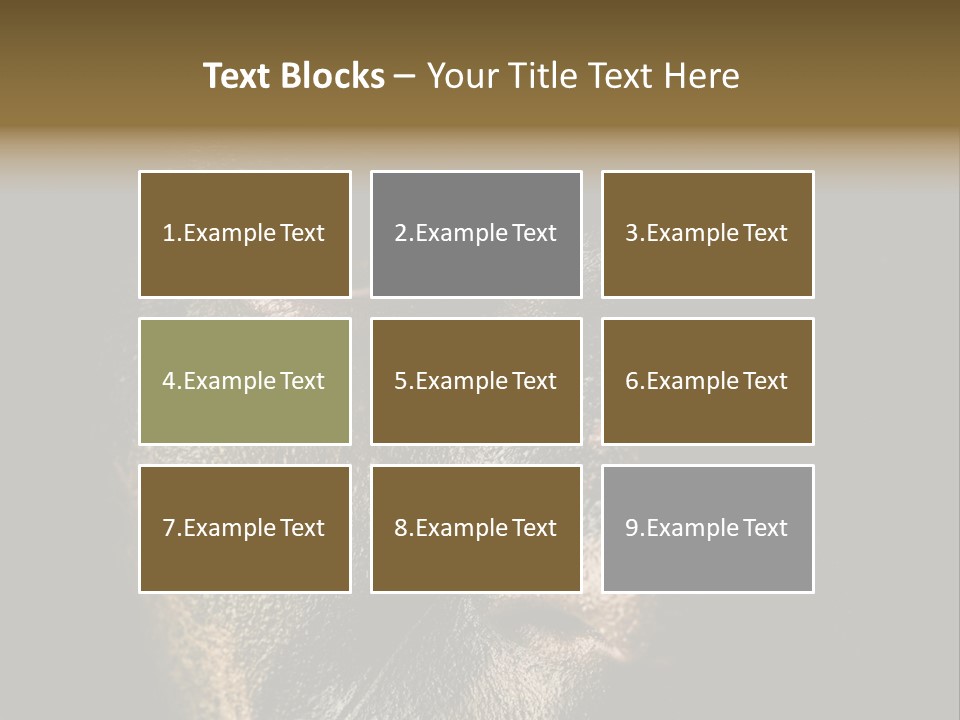 Concept Confrontation Conflict PowerPoint Template