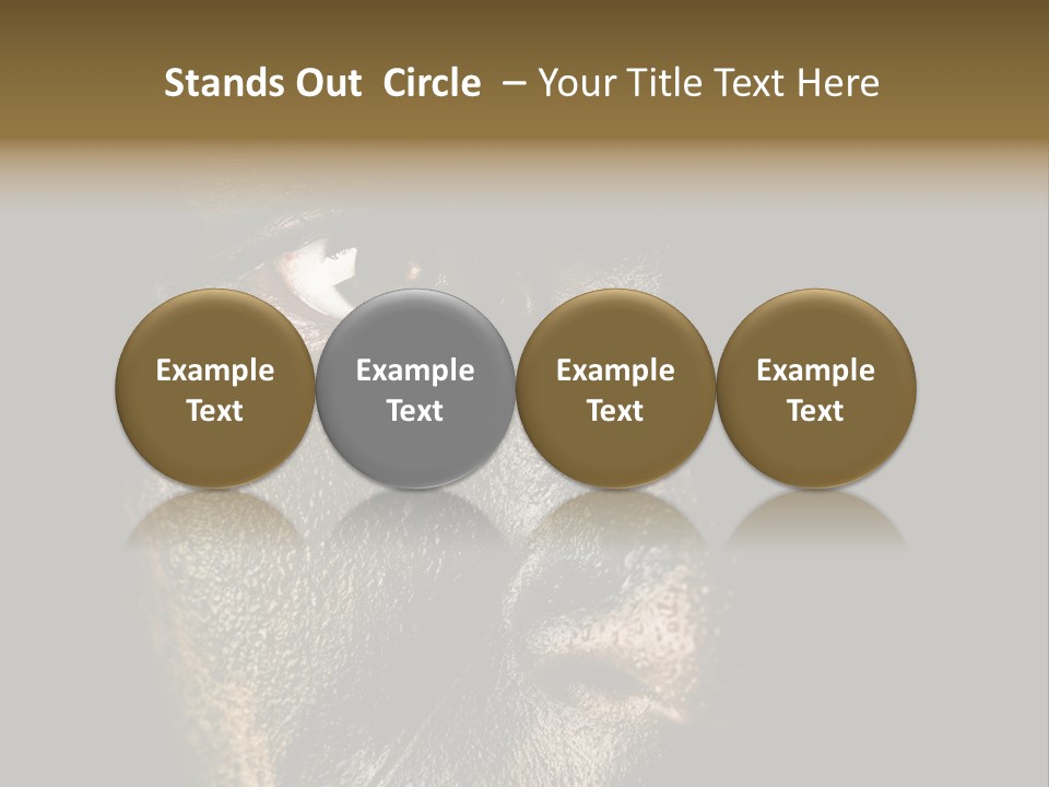 Concept Confrontation Conflict PowerPoint Template