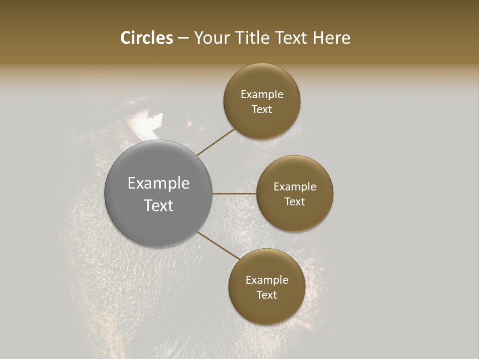 Concept Confrontation Conflict PowerPoint Template
