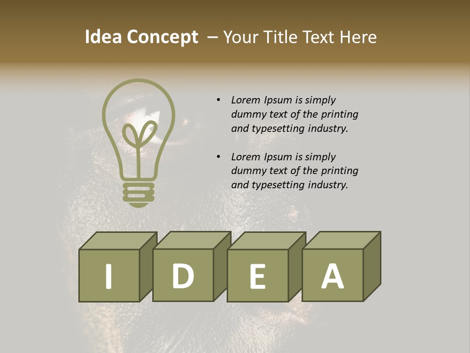 Concept Confrontation Conflict PowerPoint Template