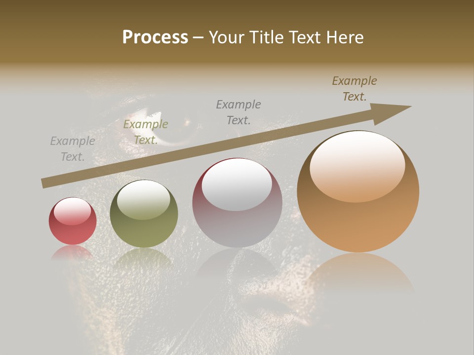 Concept Confrontation Conflict PowerPoint Template