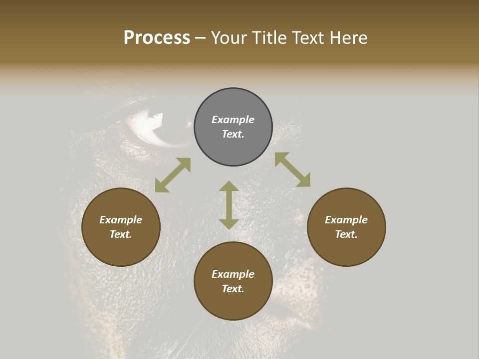 Concept Confrontation Conflict PowerPoint Template