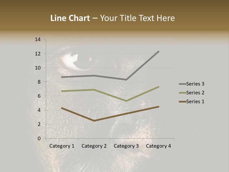Concept Confrontation Conflict PowerPoint Template