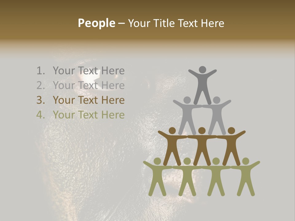 Concept Confrontation Conflict PowerPoint Template