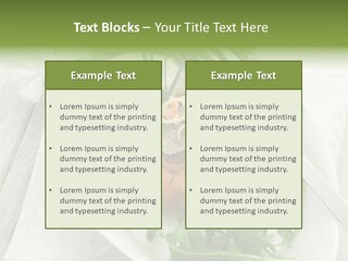 Salad Gourmet Marinated PowerPoint Template