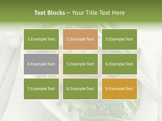 Salad Gourmet Marinated PowerPoint Template
