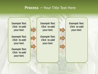 Salad Gourmet Marinated PowerPoint Template