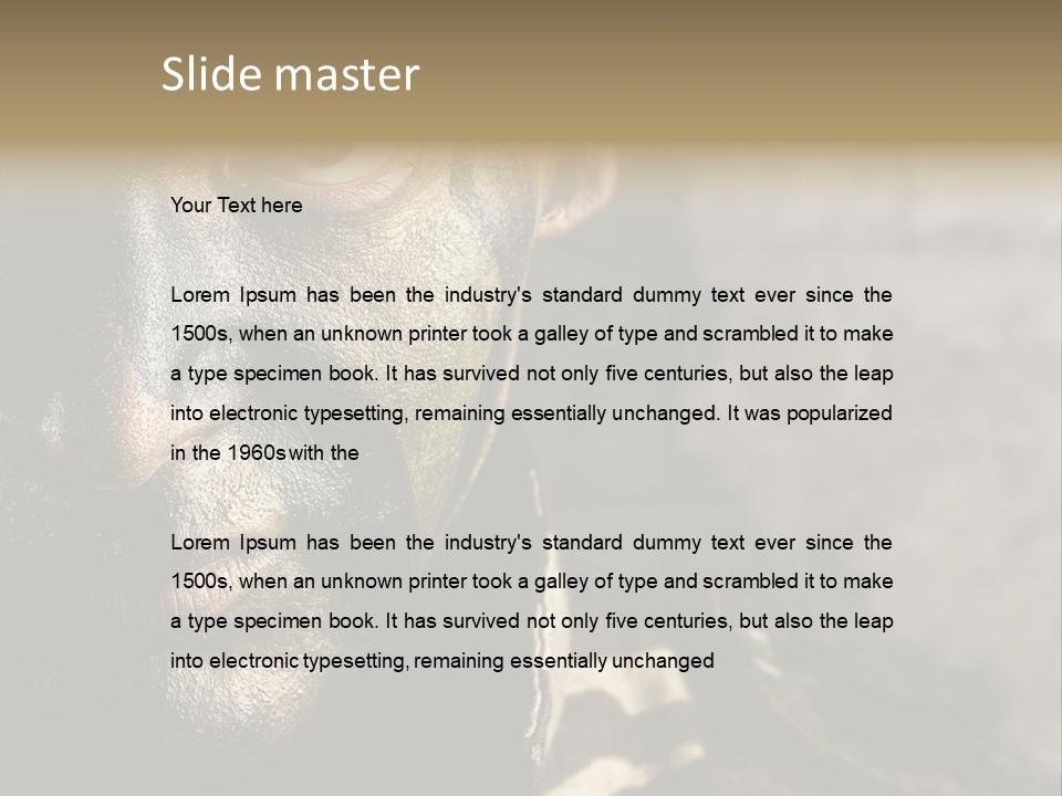 Material Texture Retro PowerPoint Template