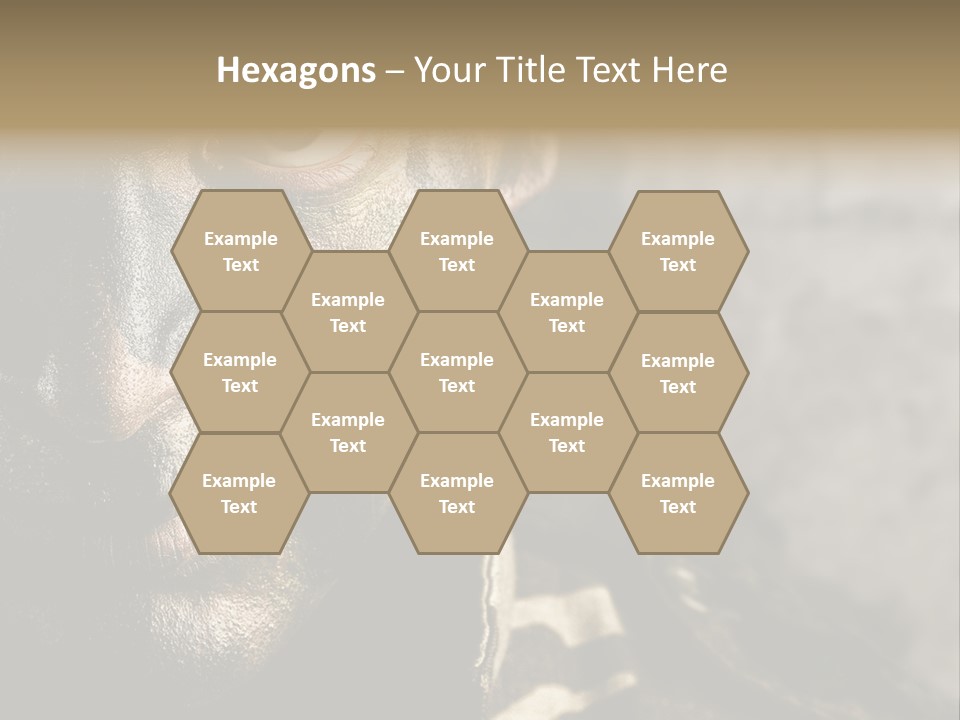 Material Texture Retro PowerPoint Template