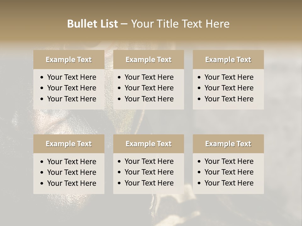 Material Texture Retro PowerPoint Template