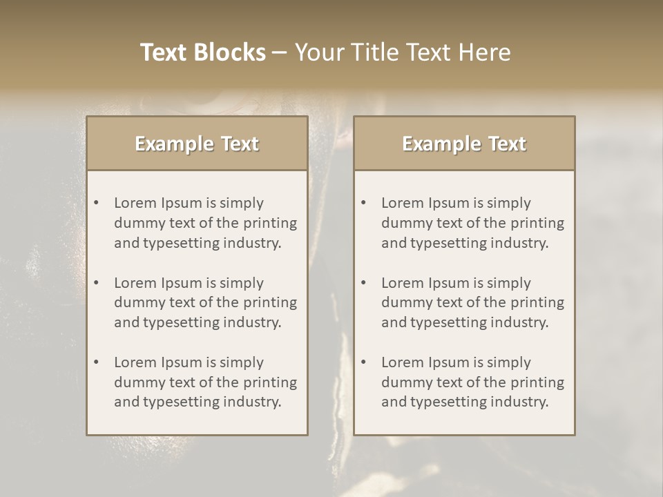 Material Texture Retro PowerPoint Template