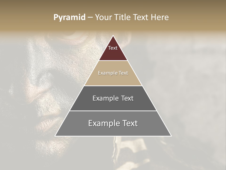 Material Texture Retro PowerPoint Template