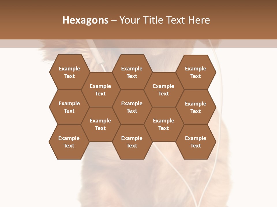 Dog Canine Puppy PowerPoint Template