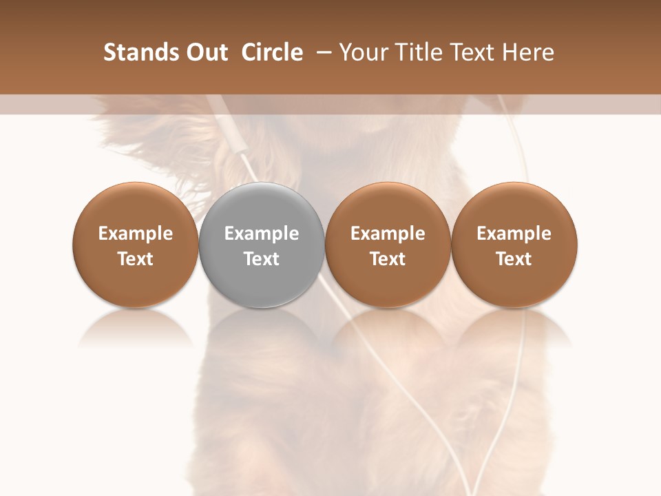 Dog Canine Puppy PowerPoint Template