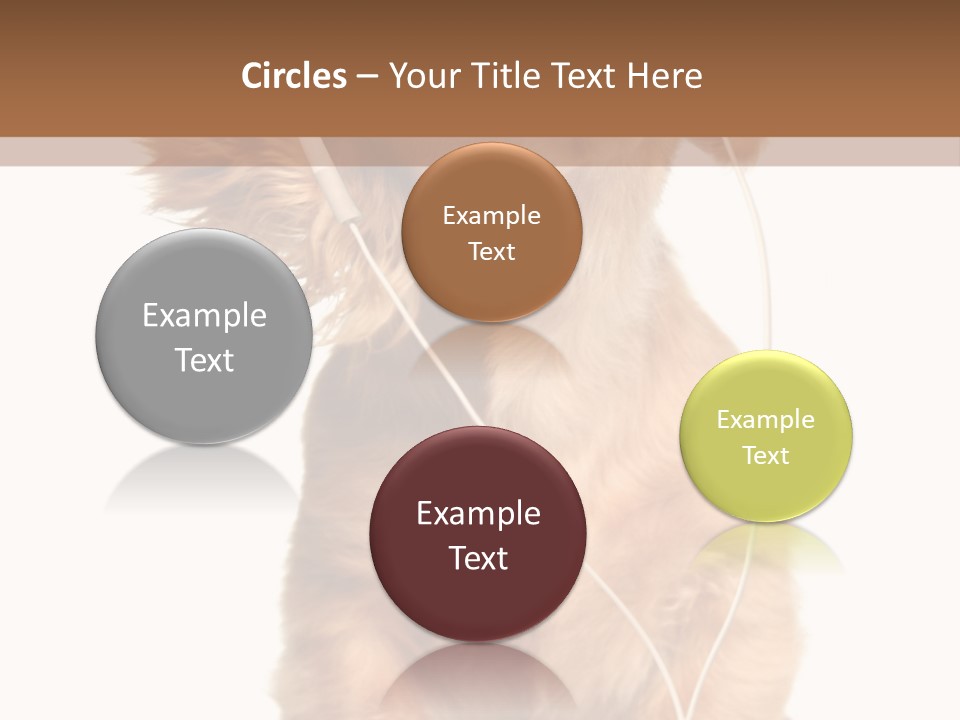 Dog Canine Puppy PowerPoint Template