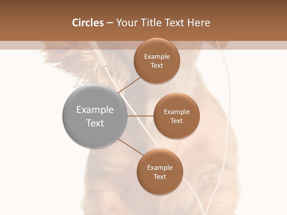 Dog Canine Puppy PowerPoint Template