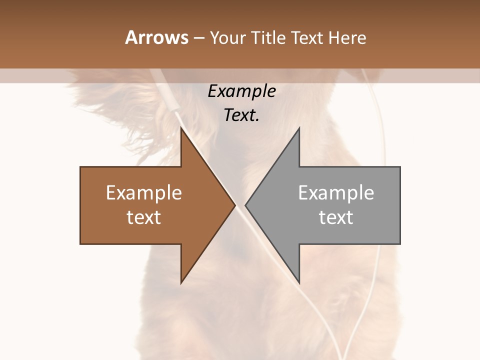 Dog Canine Puppy PowerPoint Template