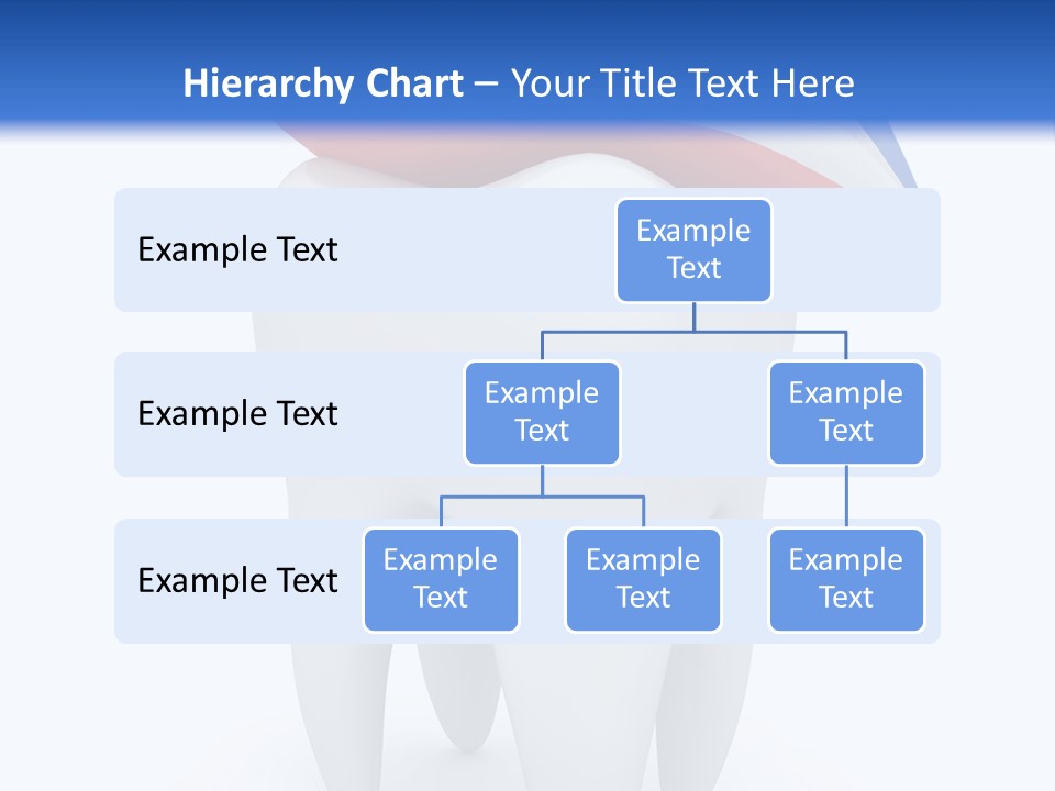 Brush Dentist Sparkle PowerPoint Template