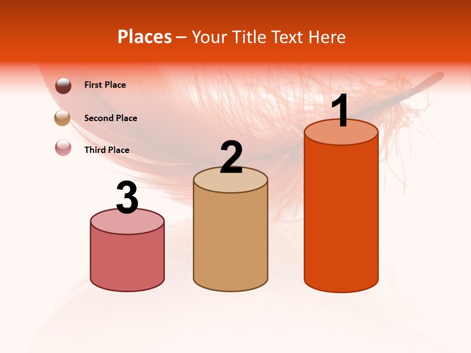 Night Bird Quill PowerPoint Template