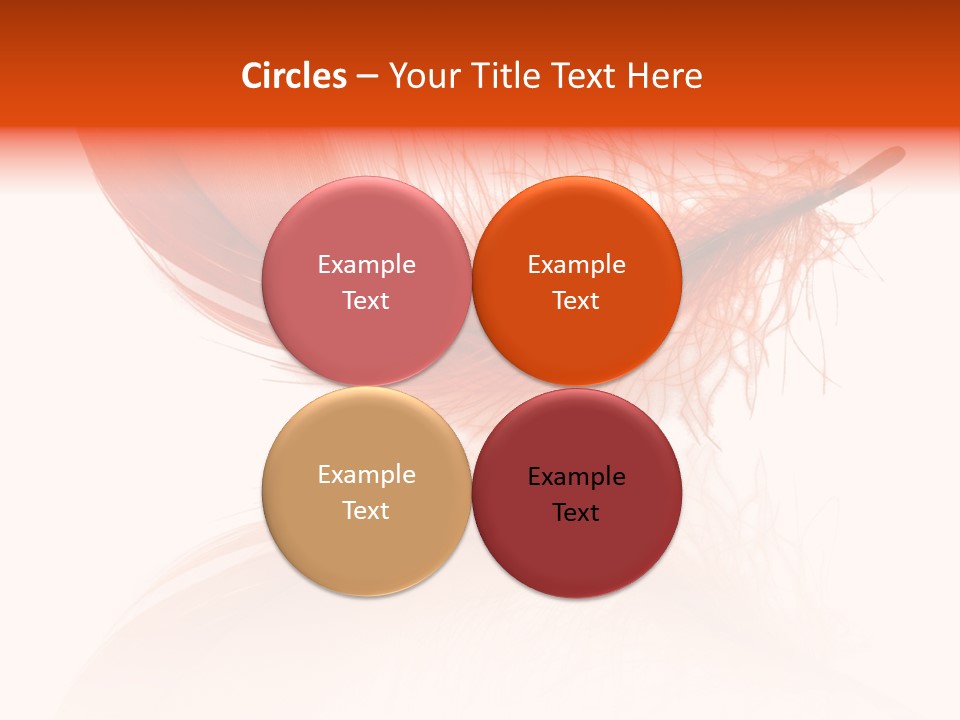 Night Bird Quill PowerPoint Template