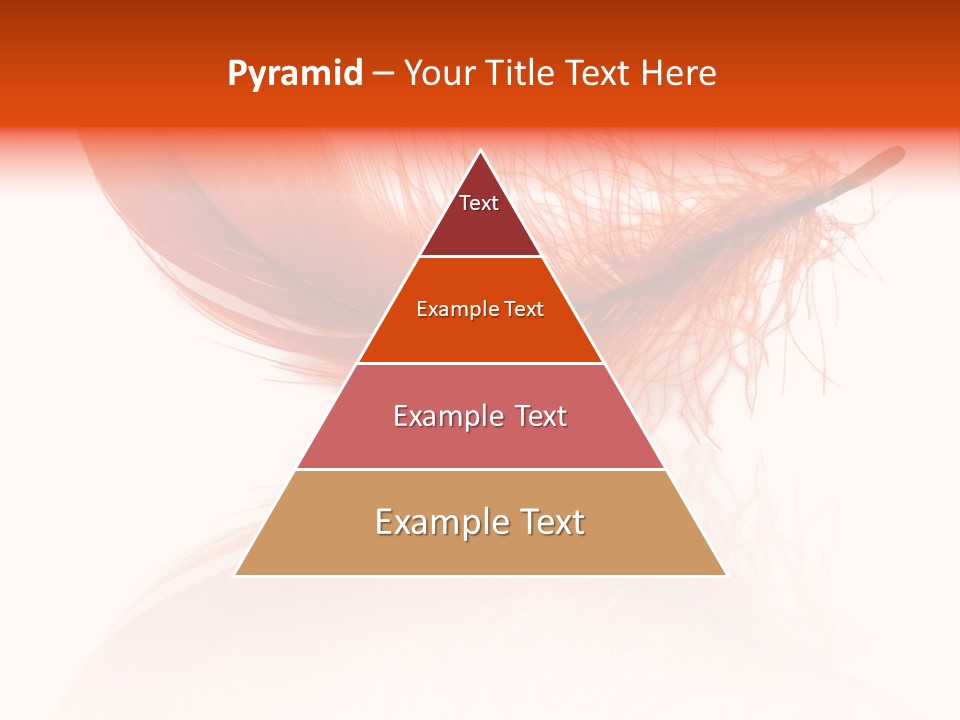 Night Bird Quill PowerPoint Template